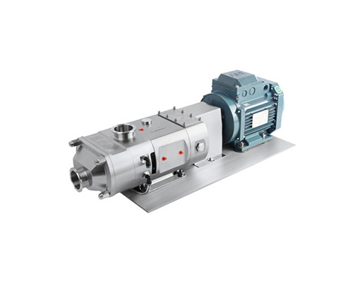 Twin Screw Pump with Motor